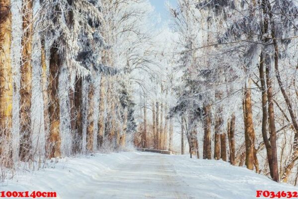 the winter road. dramatic scene. carpathian, ukraine, europe.