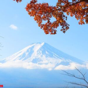 fujisan (fuji mountain)