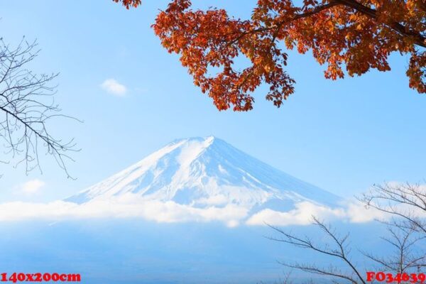 fujisan (fuji mountain)