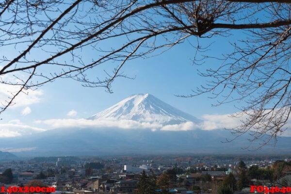 fujisan (fuji mountain)