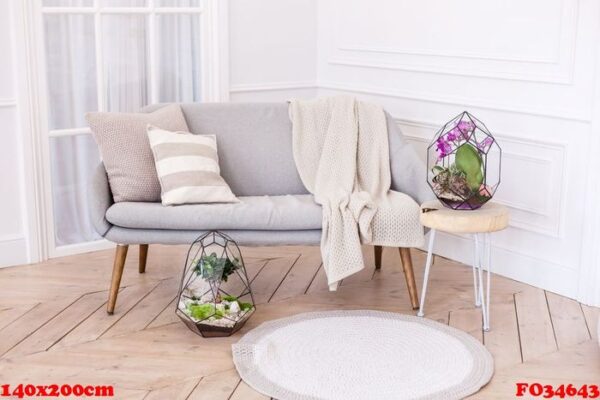 interior with florariums, forms of glass for interior with plants, stones