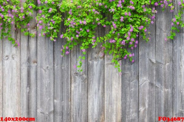 brown grey wooden fence with beautiful green leaves plant and pi