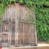 big wooden door surround with green plant called birder's lodge