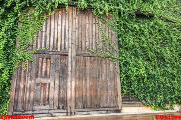 big wooden door surround with green plant called birder's lodge