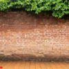 old red brick and floor with tree on top