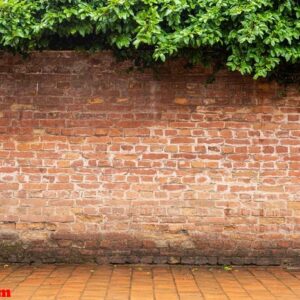 old red brick and floor with tree on top