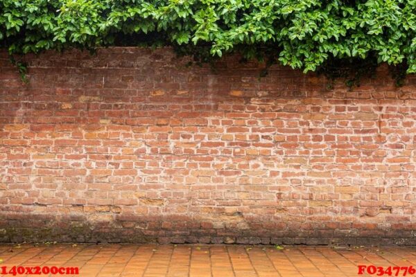 old red brick and floor with tree on top