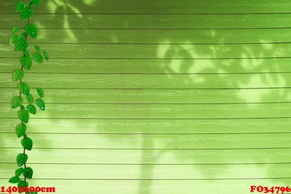 green leaves of coatbuttons nature border and shadow plant tree