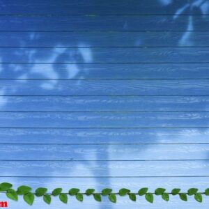 green leaves of mexican daisy nature border and shadow tree on b