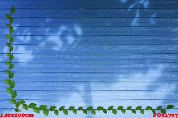 green leaves of mexican daisy nature border and shadow tree on b