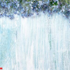 spring background. blue forget me nots flowers on light blue ba