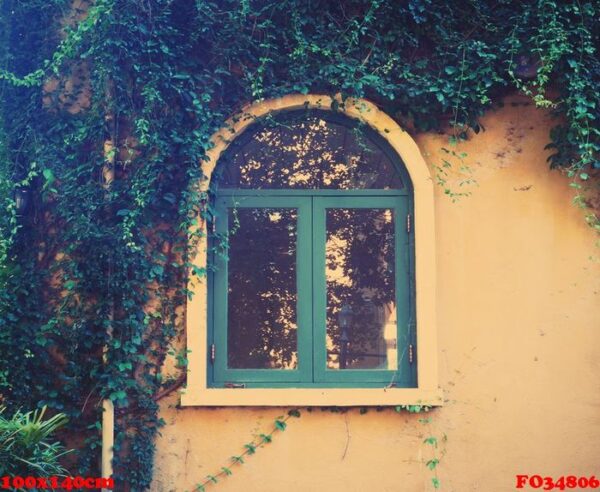 wooden vintage window with creeper leaves plant