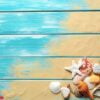 summer time concept with sea shells