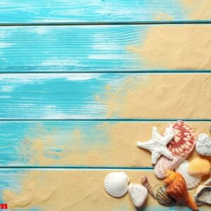 summer time concept with sea shells