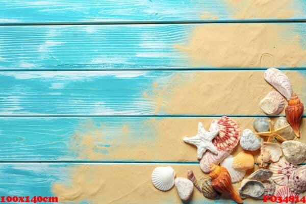 summer time concept with sea shells