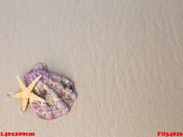 sea shells with sand as background