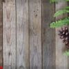 pine cone and fern leaf on wood background