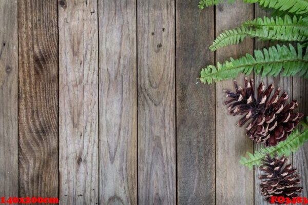 pine cone and fern leaf on wood background