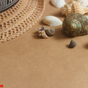 seashells on wooden background with copyspace. travel concept