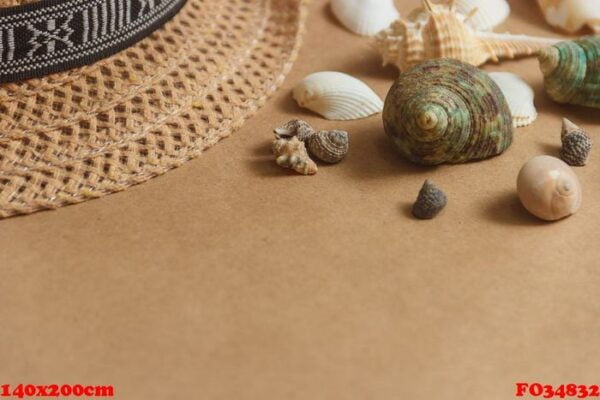 seashells on wooden background with copyspace. travel concept