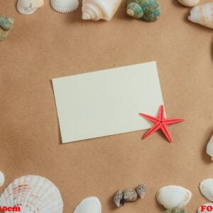 frame of seashells on light background with blank card and starfish. flat view.