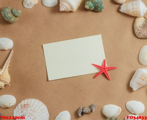 frame of seashells on light background with blank card and starfish. flat view.