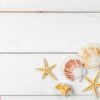 seashells on wooden background.