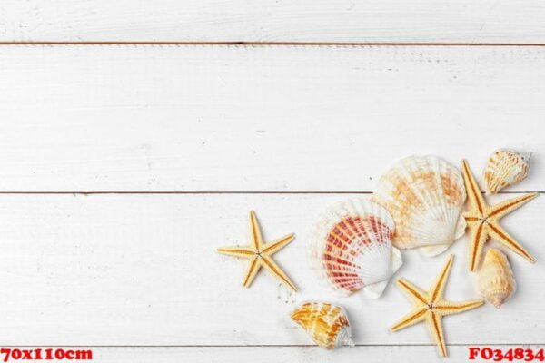 seashells on wooden background.