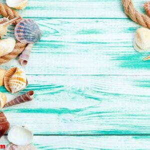 different sea shells on color wooden background