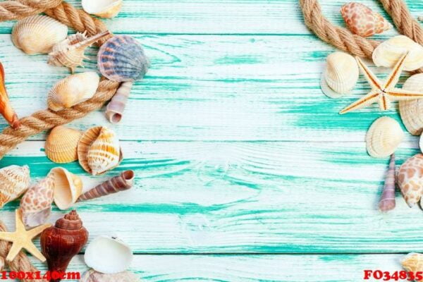 different sea shells on color wooden background