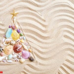 christmas tree made from shells and corals on beach sand, flat