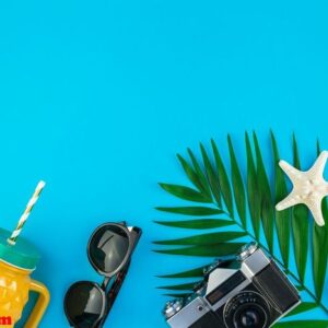 travel flat lay concept with palm leaves