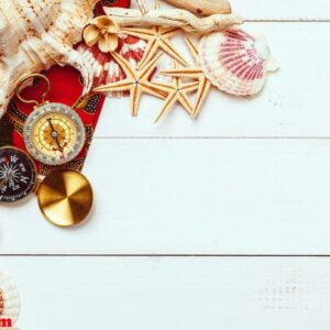 beautiful sea composition with shells and vintage compass