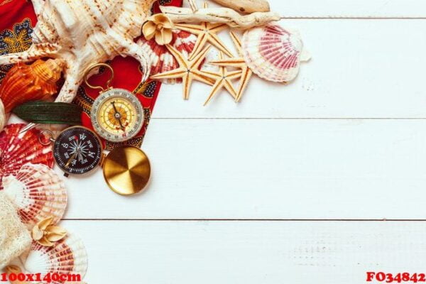 beautiful sea composition with shells and vintage compass