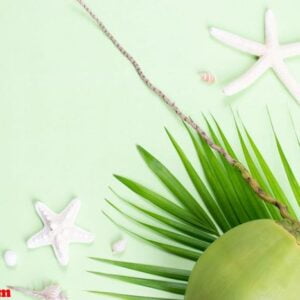 coconut and green leaf palm with starfish on pastel green backgr