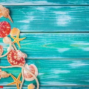 different sea shells on color wooden background