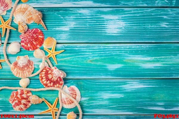 different sea shells on color wooden background