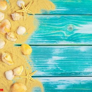 sea sand and sea shells on blue wooden floor