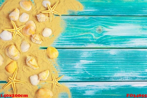 sea sand and sea shells on blue wooden floor