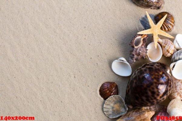 sea shells with sand as background