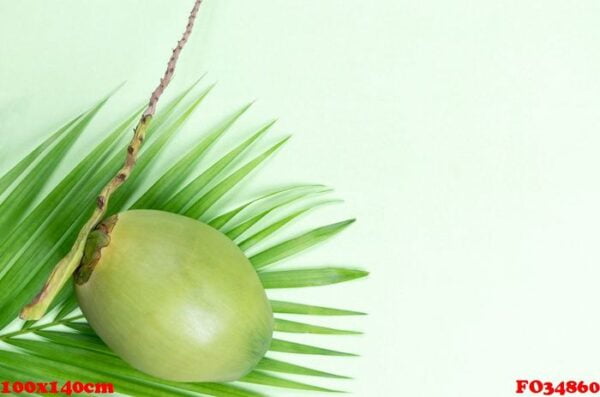 coconut and green leaf palm with starfish on pastel green backgr