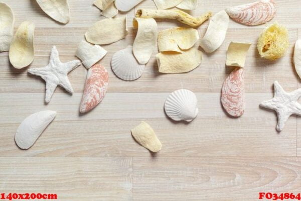 sea shells frame