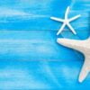 two starfish on blue wooden background. top view