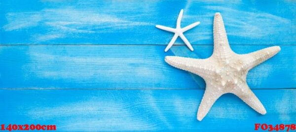 two starfish on blue wooden background. top view