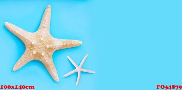 two starfish on blue background. top view with copy space