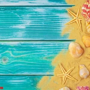sea sand and sea shells on blue wooden floor