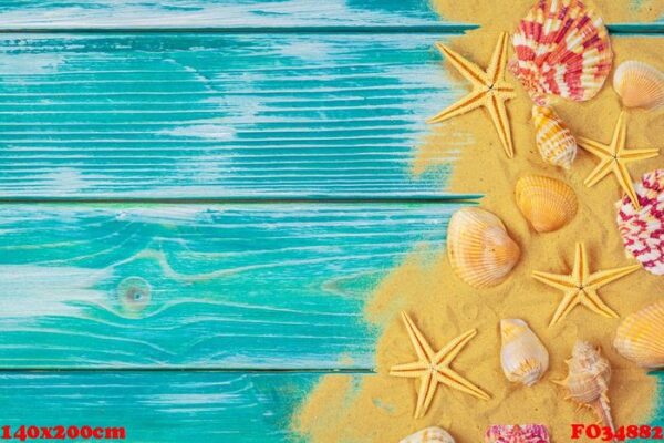 sea sand and sea shells on blue wooden floor