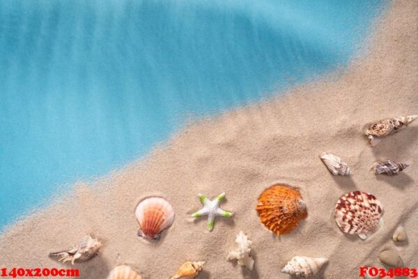 seascape seashells sand, holiday postcard.