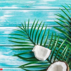 creative layout made of coconuts and tropical leaves. food concept