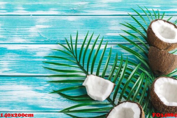 creative layout made of coconuts and tropical leaves. food concept